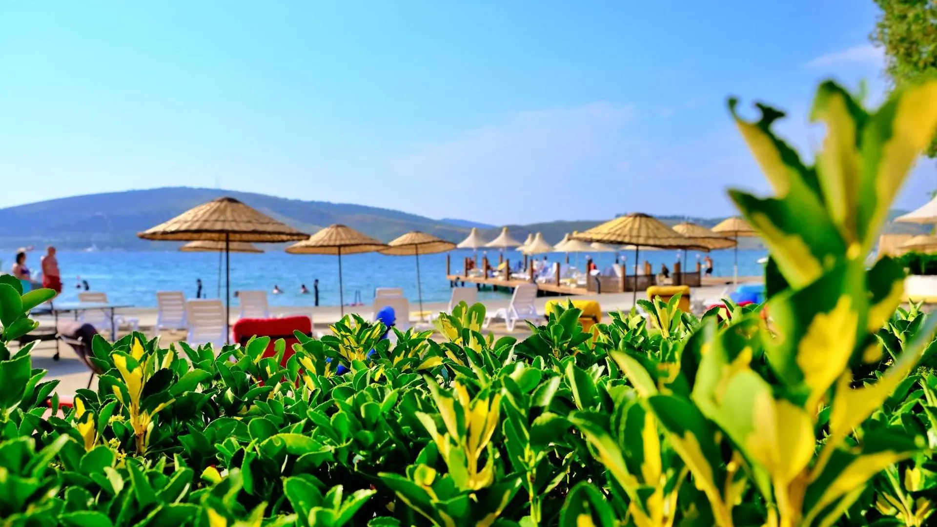 Club Aquarium Hotel & Spa Güvercinlik Türkiye